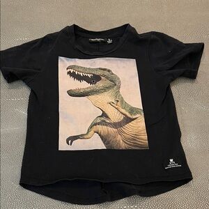 Kids Black Dinosaur Graphic Tee